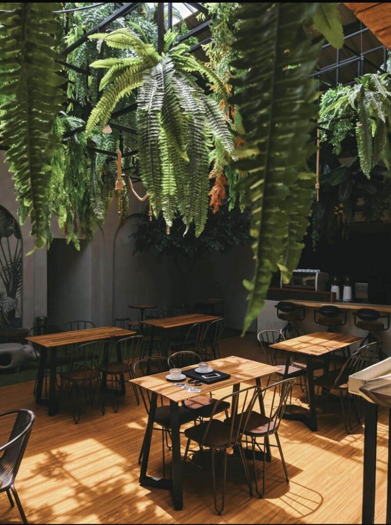 Professional restaurant and kitchen cleaning in Dún Laoghaire, Blackrock, and Dalkey — Hexaclean Solutions ensuring spotless dining areas, hygienic kitchens, and 5-star hygiene standards across Dublin.