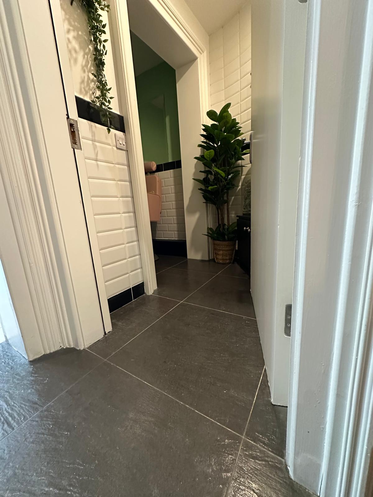 salon-toilet-deep-cleaning