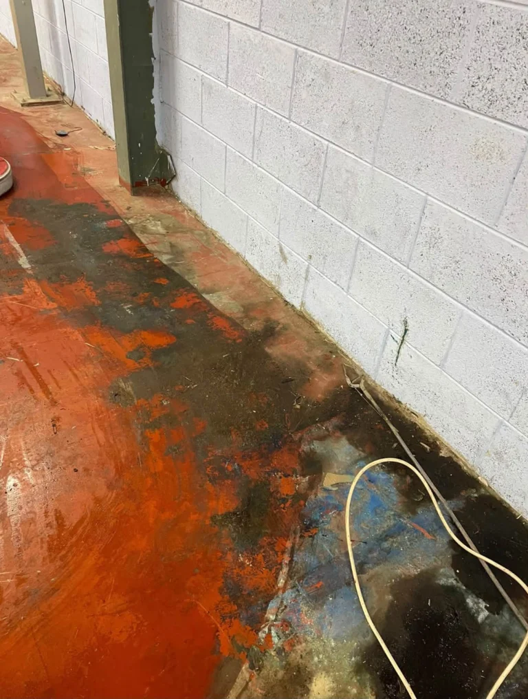 Instagram post from hexa.cleansolutions. This post is in position 2.